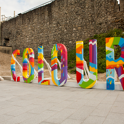 Festival Of Colour