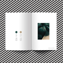 Palettes magazine