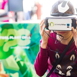 VPC (The Virtual Plant Cell Experience)