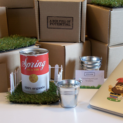 Spring in a Tin