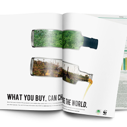 Palm Oil Campaign