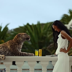 SCHWEPPES Leopard Launch