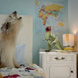 MNet - Chippy