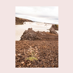 Junko Iceland - issue 02