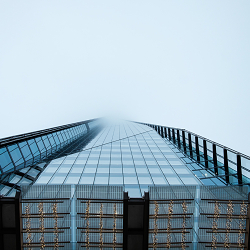 Looking Up