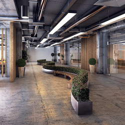 3d Visual of an office space