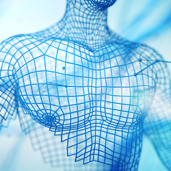Digital Humans