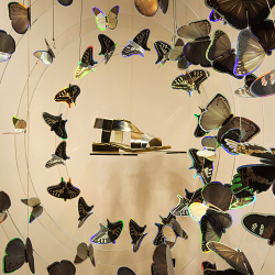 Window Display