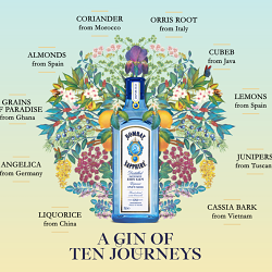 Bombay Sapphire: A Gin iof Ten Journeys