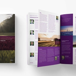 Website design and development, brochure design and marketing