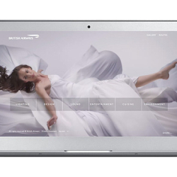 BA Flywell website