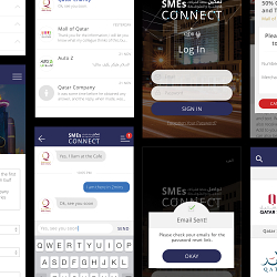 QDB SMEs Connect App