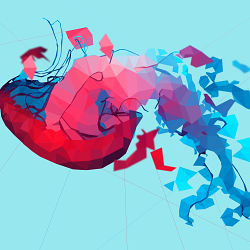 Fish for Future | YCN | Marine Stewardship Council