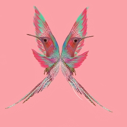 Illustrations and more