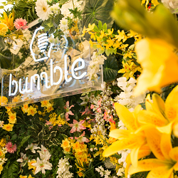 Bumble X Field Day