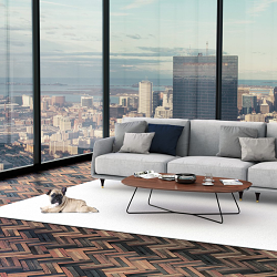 Interior CGI