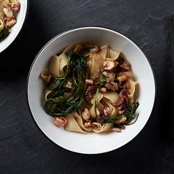 Food Photography