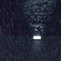 The Shining Chase