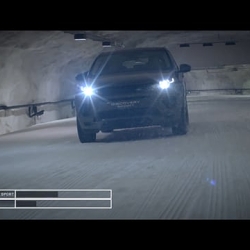 Discovery Sport – Horsepower vs Dog Power