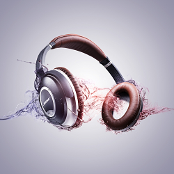 Bose Headphones