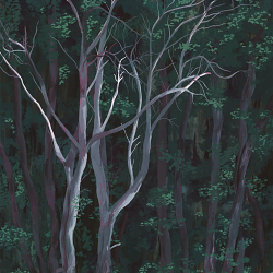 Forest Impressions