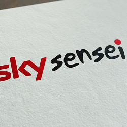 Sky Sensei Brand Identity