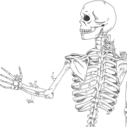 Osteoporosis concept work