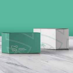 Brand Identity / Santino Lisi