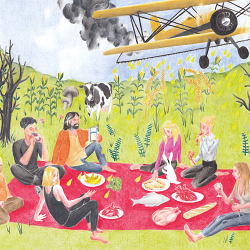 Book layout, cover and illustration