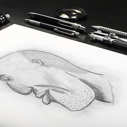 Sketches