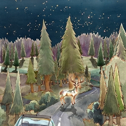 Animation for Joan and the White Harts