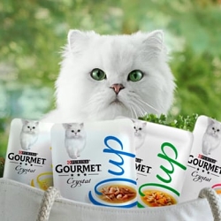 Gourmet Crystal Soup
