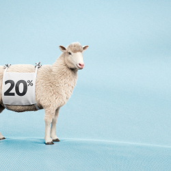 Interio Sleep: Sheep