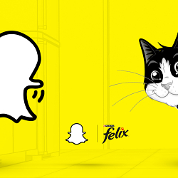 Snapchat & Felix