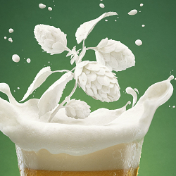 Carlsberg’s 170 year anniversary