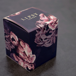 Lipsy x Amy Jackson PR Event