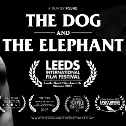 The Dog and The Elephant