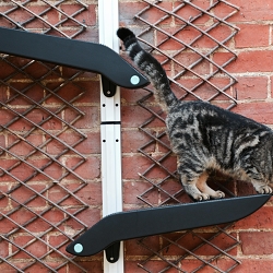 Catipilla - Premium Modular Cat Climber