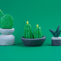 CACTUS