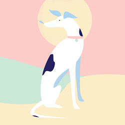 Animals Waiting Posters