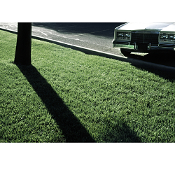 Getty Images