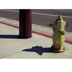 Getty Images US urban scenes
