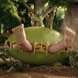 DFS - The Comfy Age