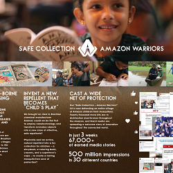 Amazon Warriors Safe Collection