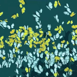 Ideas In Motion - An Animated Brand Film by Content Creatures