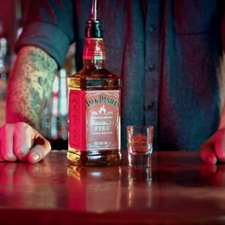 Jason Hindley, Jack Daniel's