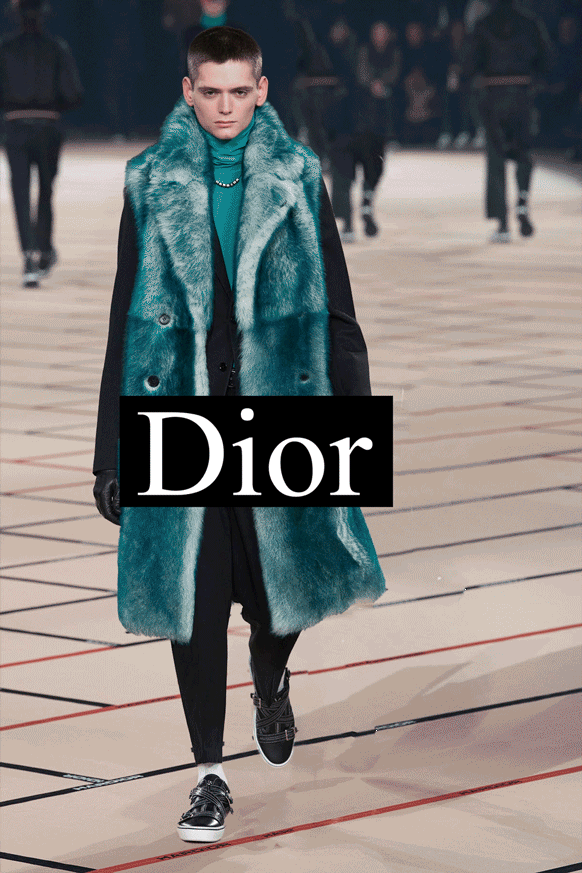 DIOR HOMME SS17 MOTION POSTER CAMPAIGN