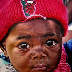 Oil Paintings