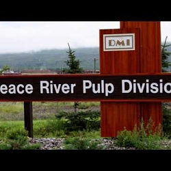 Promotional Video for DMI Peace River Pulp