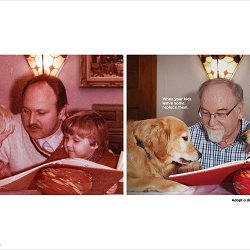 The Pedigree Child Replacement Programme